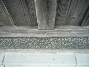 0730-2.jpg